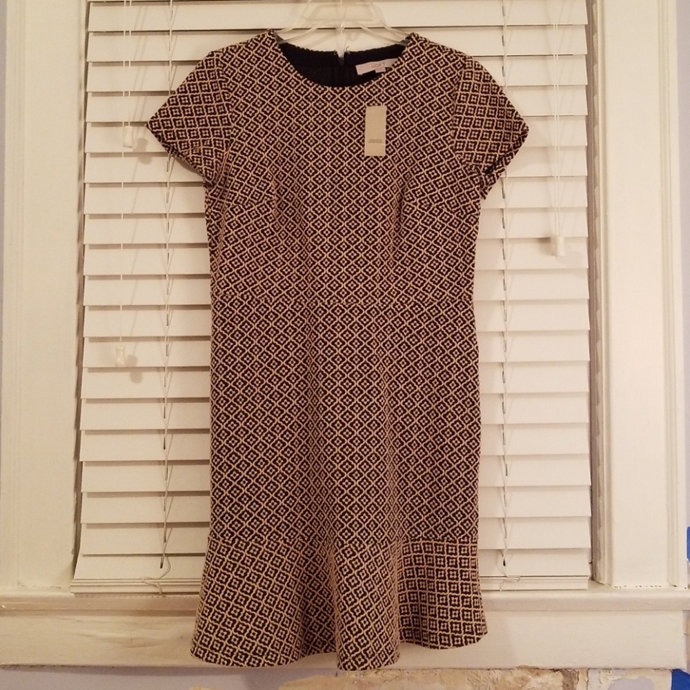 Ann Taylor Loft Fit And Flare Dress, 6P